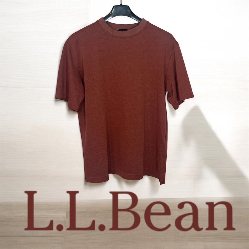 Vintage L.L. Bean Outdoors‎ Collection Moisture Wicking Mens Short Sleeve Size L